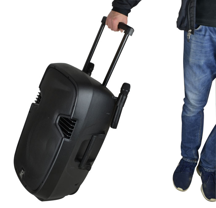 Image of 15 Inch Battery Powered PA System with Two Radio Microphones