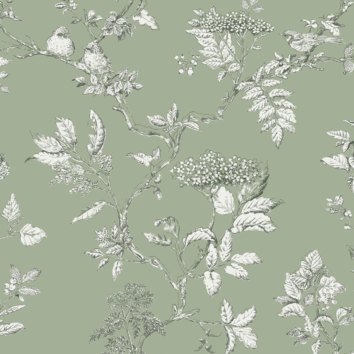 Laura Ashley Elderwood Wallpaper Sage Green 113348