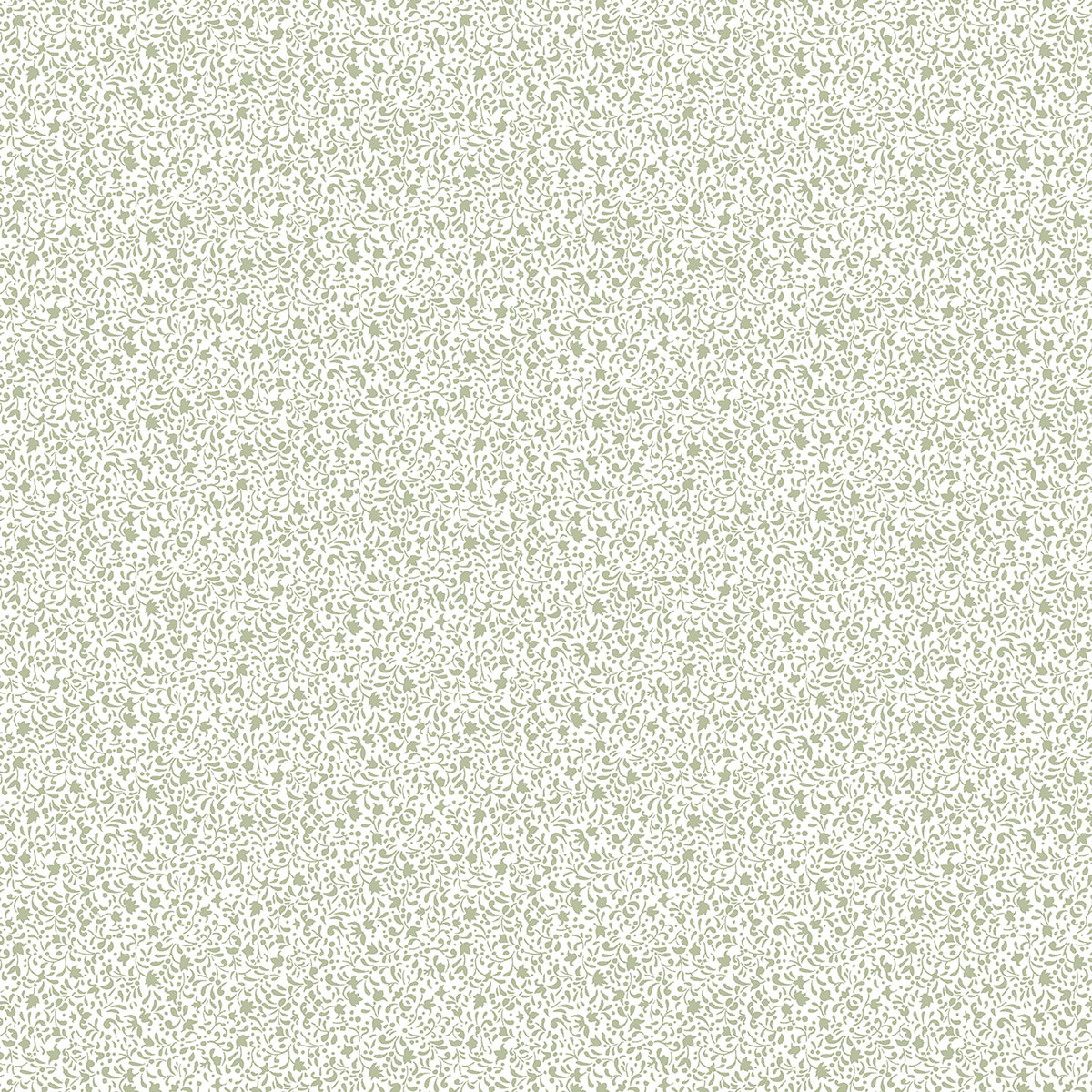 Little Explorers 2 Wallpaper Tiny Botanical Green Galerie 12370