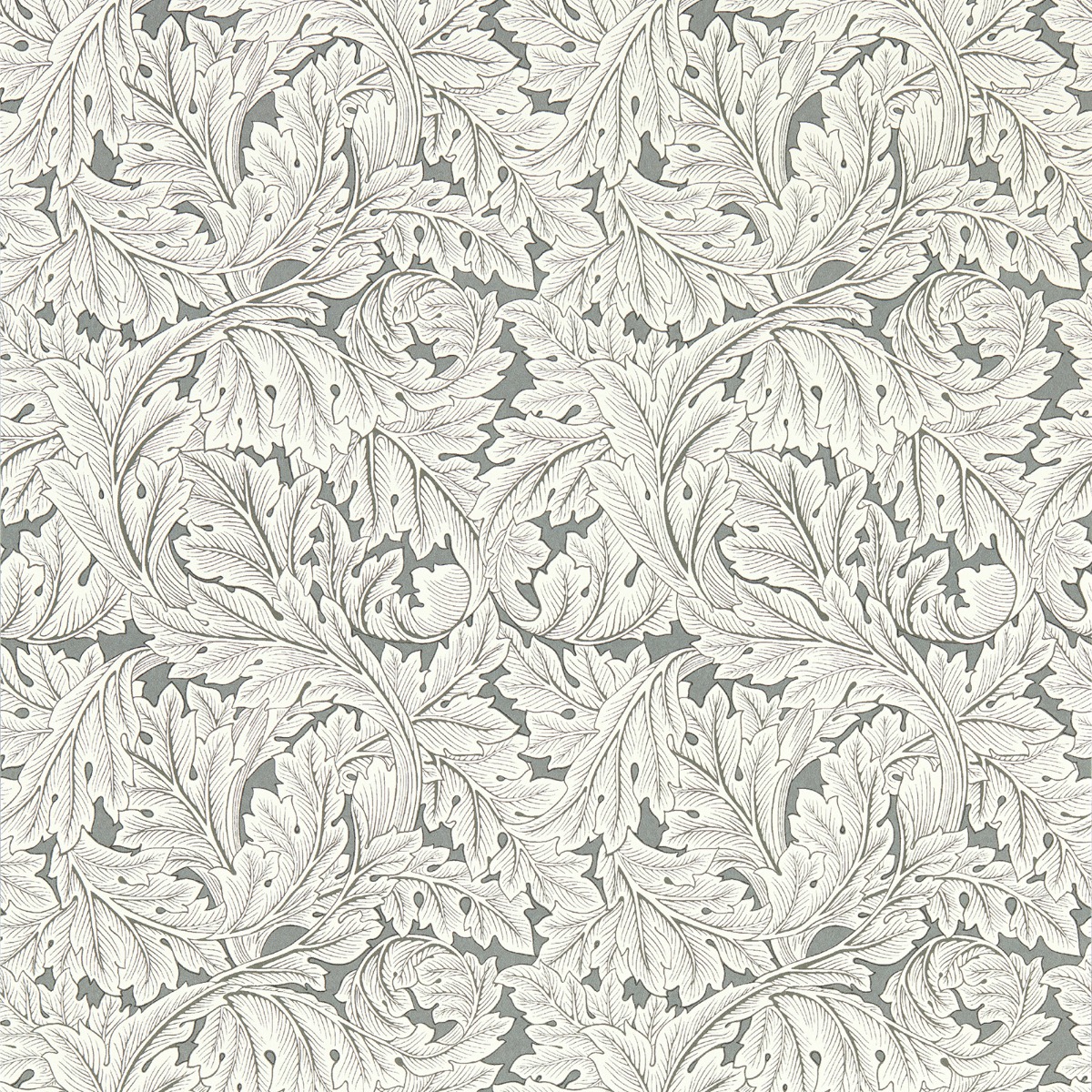 Clarke & Clarke Wallpaper Acanthus X Clarke & Clarke W0175/02